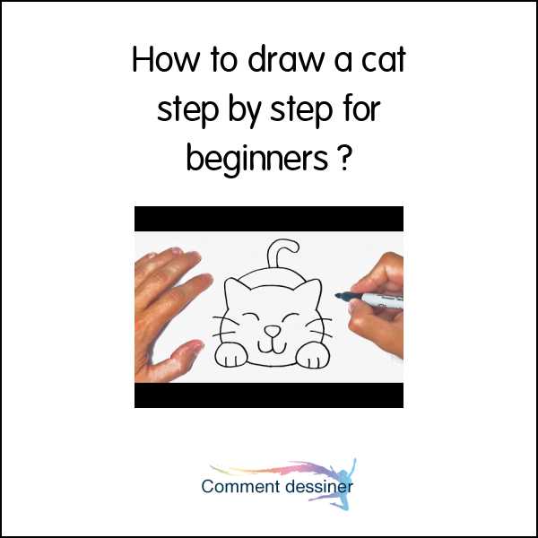 How to draw a cat step by step for beginners